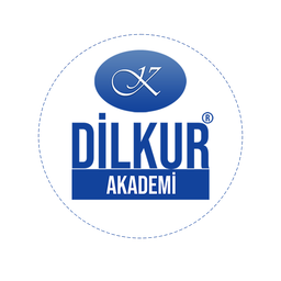 Dilkur Akademi